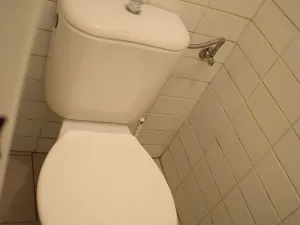 Pronájem obchodního prostoru, Volyně, Palackého, 135 m2