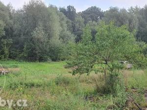 Dražba rodinného domu, Havířov, Stará, 180 m2