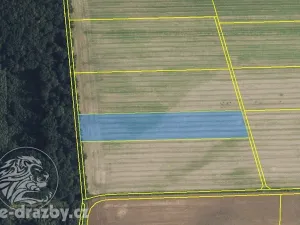 Dražba pole, Libníkovice, 11414 m2