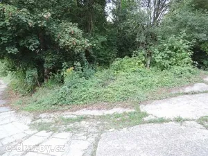 Dražba lesa, Kladno, 2465 m2
