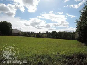 Dražba pozemku, Želízy, 3979 m2