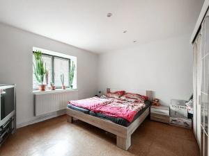 Prodej vícegeneračního domu, Nová Ves, 200 m2