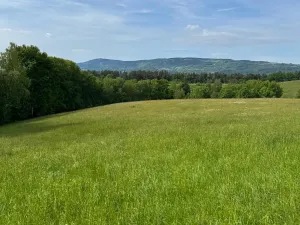 Prodej louky, Český Dub, 58420 m2