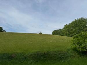 Prodej louky, Český Dub, 58420 m2