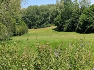 Prodej louky, Babice, 45608 m2