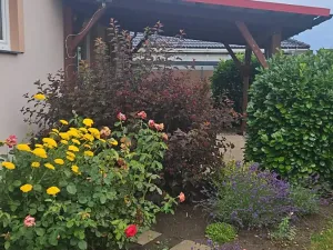 Pronájem rodinného domu, Olšany u Prostějova, 55 m2