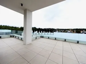 Pronájem rodinného domu, Praha - Řepy, U Lesoparku, 408 m2