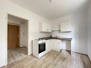 Pronájem bytu 1+1, Litvínov, Podkrušnohorská, 30 m2