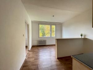 Pronájem bytu 1+1, Litvínov, Tylova, 38 m2