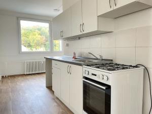 Pronájem bytu 4+1, Litvínov, Mládežnická, 84 m2