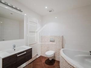 Pronájem bytu 2+kk, Praha - Kamýk, Freiwaldova, 70 m2