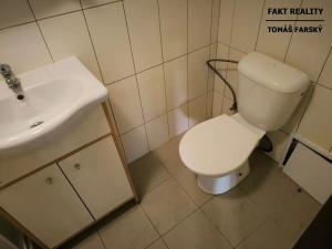 Pronájem bytu 1+kk, Děčín, Teplická, 19 m2