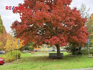 Pronájem bytu 2+1, Šumperk, Evaldova, 56 m2