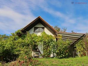 Prodej chaty, Napajedla, 13 m2