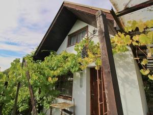 Prodej chaty, Napajedla, 13 m2