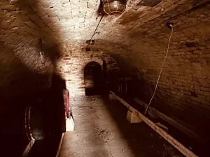 Prodej vinného sklepa, Velké Bílovice, 100 m2