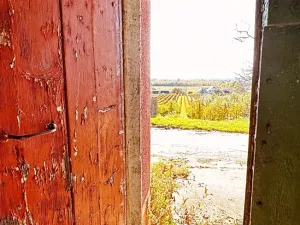 Prodej vinného sklepa, Velké Bílovice, 100 m2