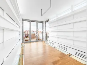 Pronájem bytu 5+1, Praha - Vinohrady, Mánesova, 220 m2