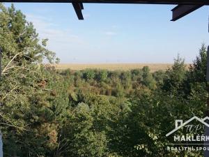 Prodej zahrady, Pašinka, 379 m2