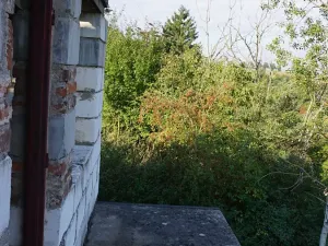 Prodej zahrady, Pašinka, 379 m2