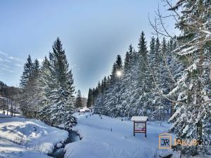 Prodej bytu 2+kk, Harrachov, 39 m2