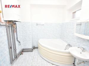 Prodej bytu 3+1, Otvovice, 192 m2