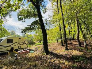 Prodej lesa, Postupice, 893 m2