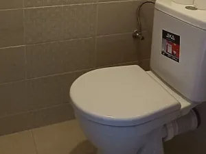 Pronájem bytu 3+1, Uherský Brod, Močidla, 72 m2