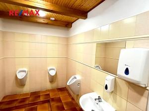 Pronájem obchodního prostoru, Kladno, Jana Palacha, 163 m2