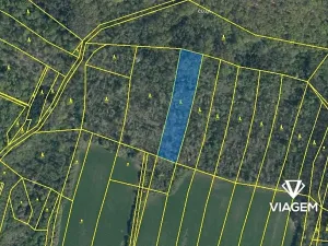 Prodej lesa, Dobrovice, 3778 m2