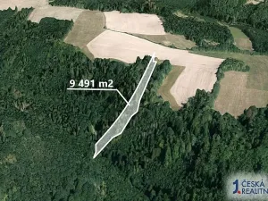 Prodej lesa, Fulnek, 9491 m2