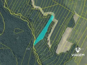 Prodej lesa, Fulnek, 9491 m2