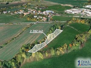 Prodej podílu lesa, Sobotka, 1141 m2