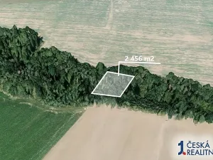 Prodej lesa, Katusice, 2456 m2