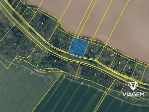 Prodej lesa, Katusice, 2456 m2