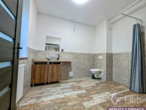 Pronájem bytu 1+kk, Rudník, 25 m2