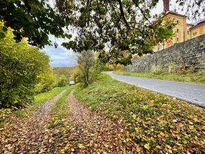 Prodej pozemku pro bydlení, Malá Skála, 563 m2