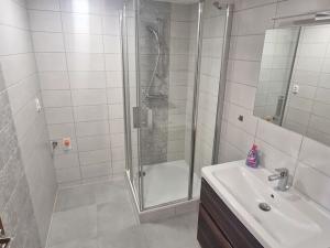 Pronájem bytu 4+kk, Luhačovice, Dr. Veselého, 170 m2