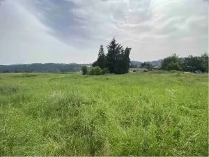 Dražba louky, Bohumilice, 5491 m2