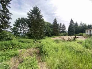 Dražba louky, Bohumilice, 5491 m2