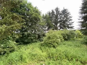 Dražba louky, Bohumilice, 5491 m2