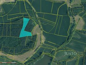 Prodej lesa, Horažďovice, 11833 m2