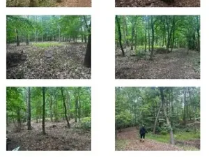 Prodej pozemku, Holice, 5782 m2