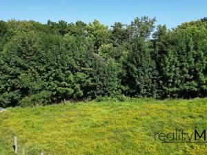Prodej louky, Křižany, 2663 m2