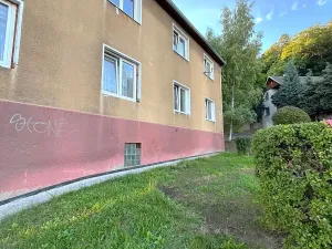 Prodej bytu 1+1, Litvínov, Horská, 29 m2