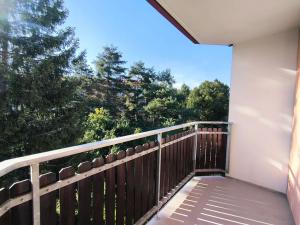 Pronájem bytu 3+1, Uherský Brod, 69 m2