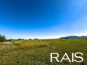 Prodej komerčního pozemku, Pouzdřany, 72617 m2