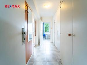 Pronájem bytu 1+1, Kolín, Na Magistrále, 37 m2