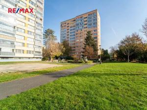 Pronájem bytu 1+1, Kolín, Na Magistrále, 37 m2