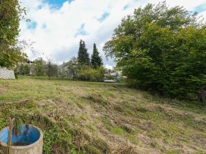 Prodej pozemku pro bydlení, Železný Brod, 764 m2